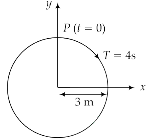 NEET 2019 Physics - Oscillations Question 12 English