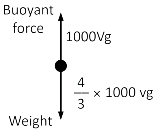 AIEEE 2004 Physics - Simple Harmonic Motion Question 131 English Explanation