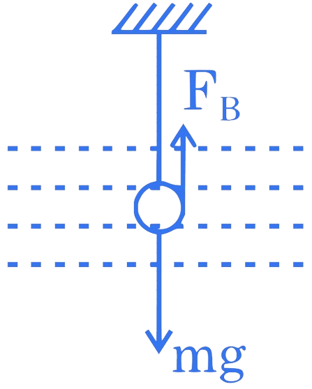 JEE Main 2022 (Online) 29th July Evening Shift Physics - Simple Harmonic Motion Question 24 English Explanation