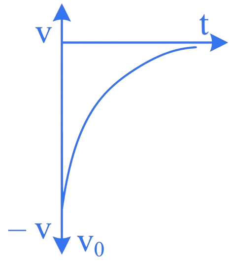 JEE Main 2023 (Online) 30th January Morning Shift Physics - Motion Question 25 English 8