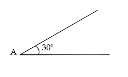 JEE Main 2021 (Online) 17th March Evening Shift Physics - Rotational Motion Question 70 English