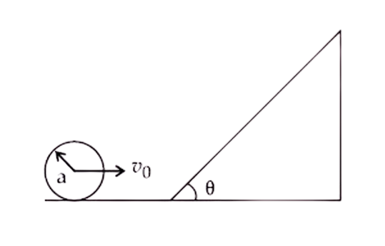 JEE Main 2021 (Online) 25th February Evening Shift Physics - Rotational Motion Question 81 English