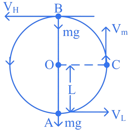 JEE Main 2024 (Online) 29th January Evening Shift Physics - Work Power & Energy Question 13 English