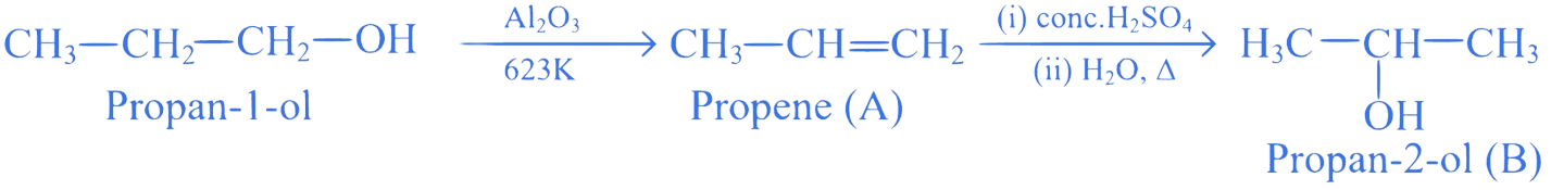 MHT CET 2021 21th September Evening Shift Chemistry - Alcohol, Phenols and Ethers Question 21 English Explanation