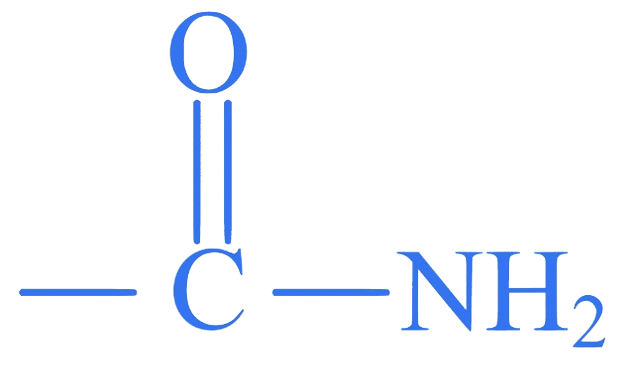 MHT CET 2023 10th May Morning Shift Chemistry - Compounds Containing Nitrogen Question 8 English Option 2